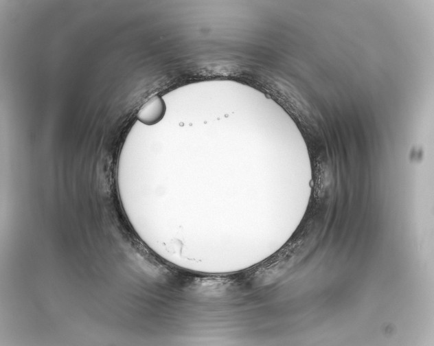X0000093610414200711121217