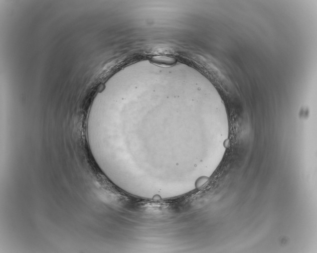 X0000093610415200711121217