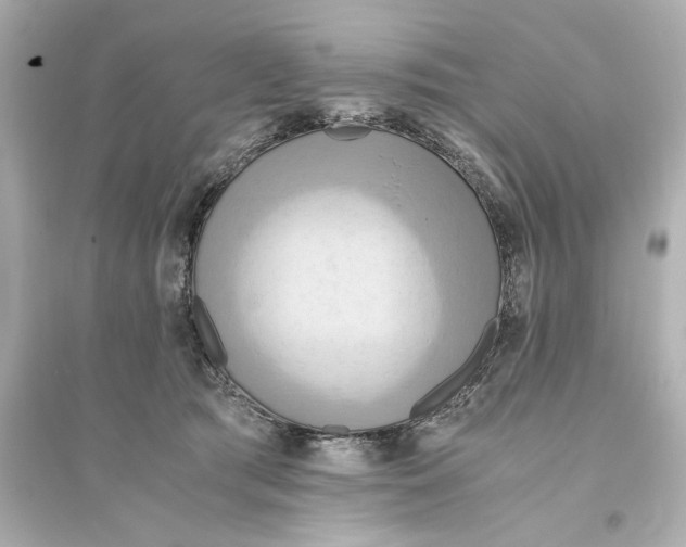 X0000093610417200711121217