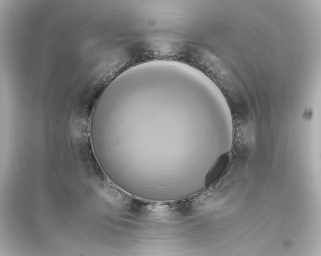 X0000093610419200711121217