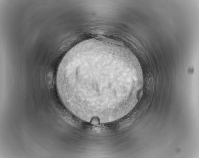 X0000093610420200711121217