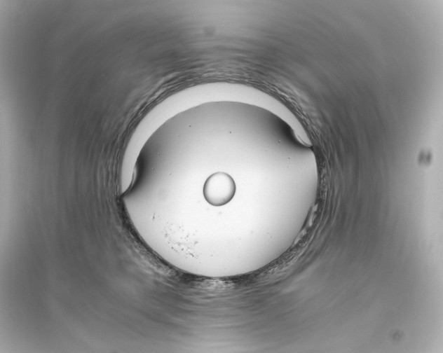 X0000093610421200711121217