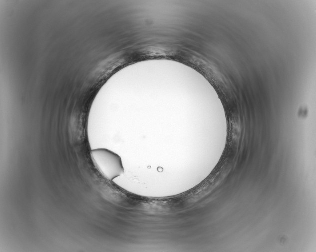 X0000093610422200711121217