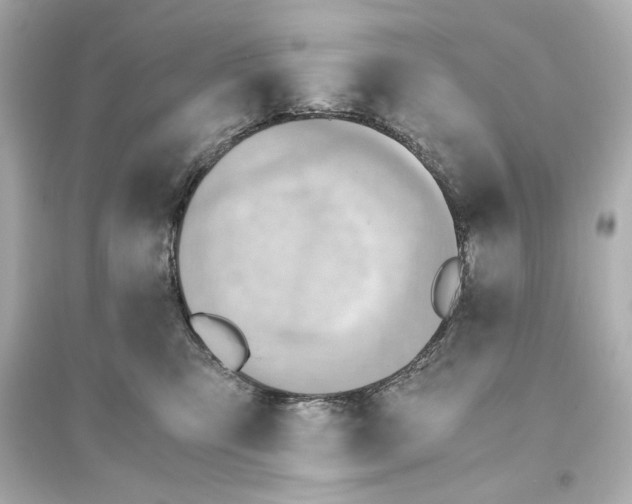 X0000093610423200711121216