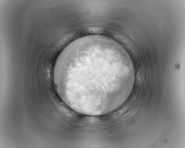 X0000093610424200711121216