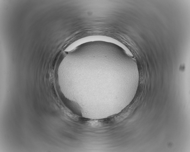 X0000093610425200711121216