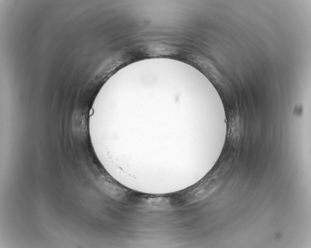 X0000093610426200711121216