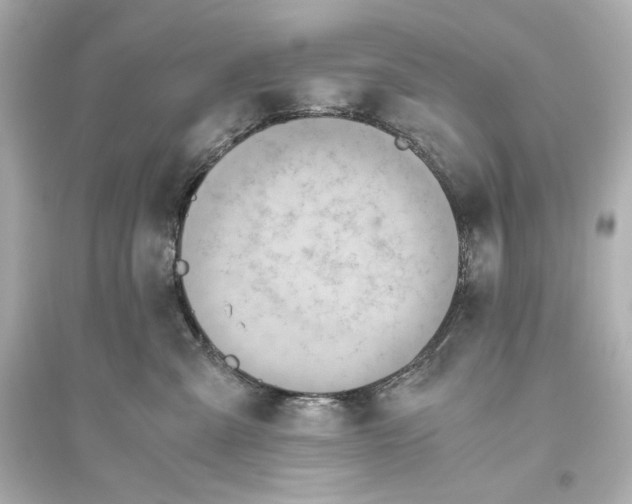X0000093610427200711121216
