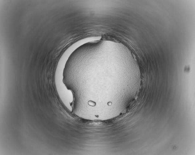 X0000093610428200711121216
