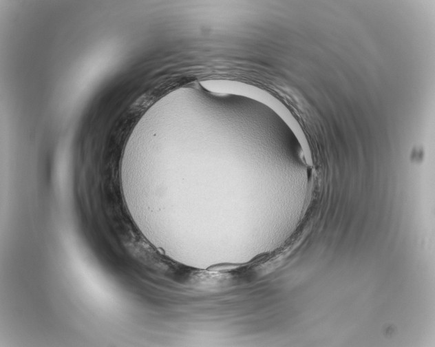 X0000093610429200711121216