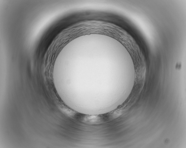 X0000093610431200711121216