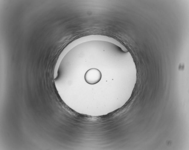X0000093610432200711121216