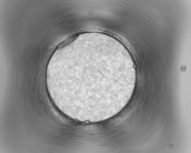 X0000093610433200711121216