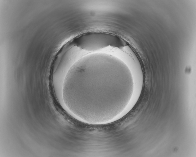 X0000093610434200711121216