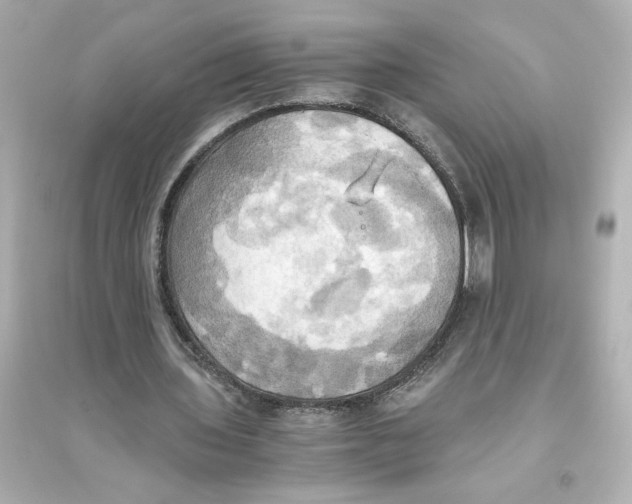 X0000093610435200711121216