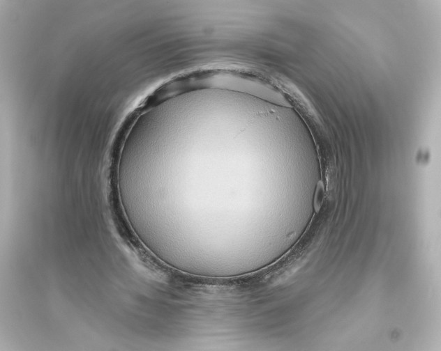 X0000093610436200711121216