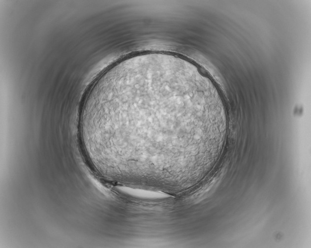 X0000093610437200711121216