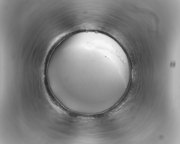 X0000093610438200711121216
