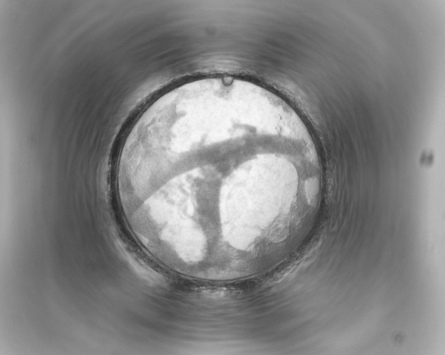 X0000093610439200711121216