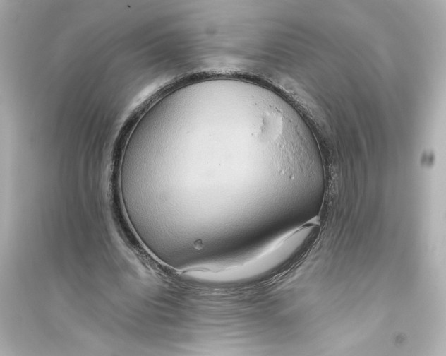 X0000093610440200711121216