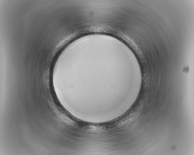X0000093610442200711121216
