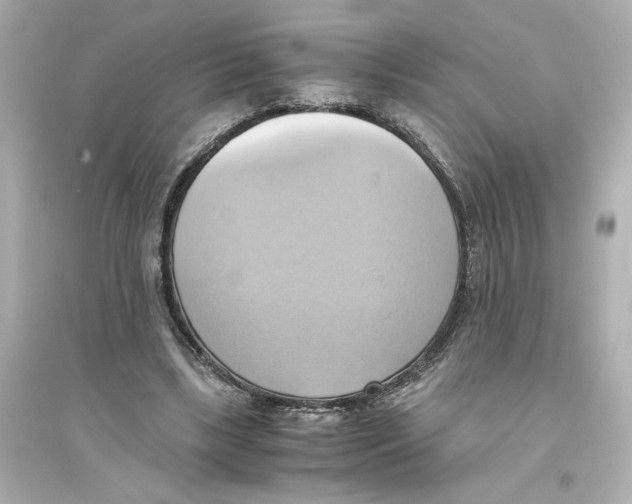 X0000093610443200711121216