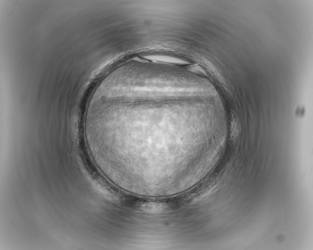 X0000093610444200711121216