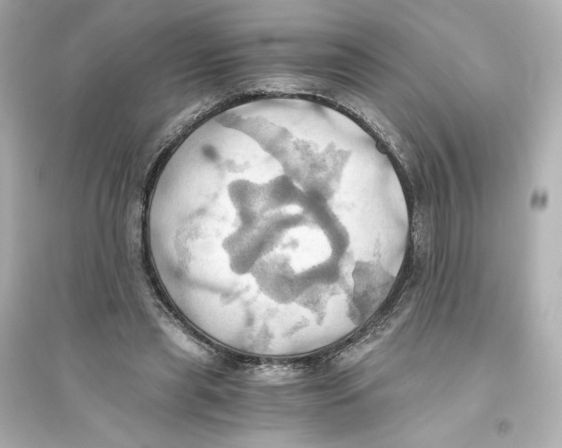 X0000093610445200711121216