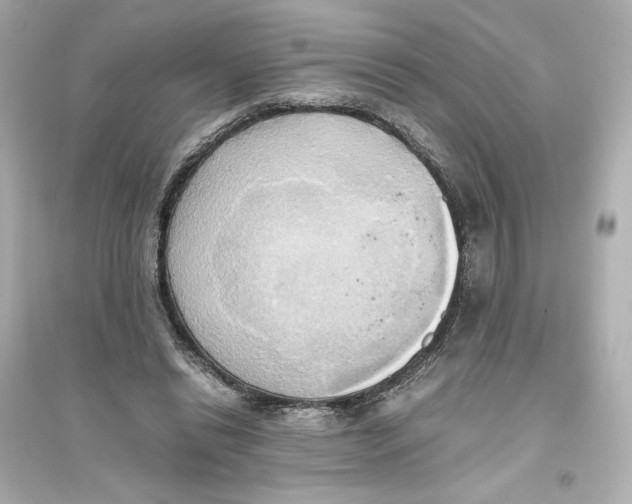 X0000093610446200711121216
