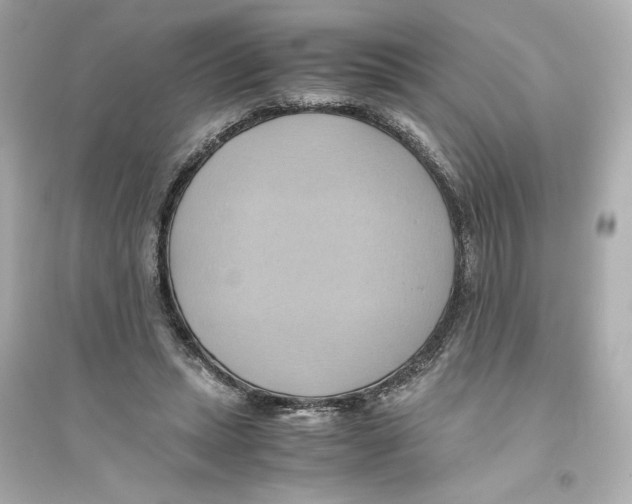 X0000093610447200711121216