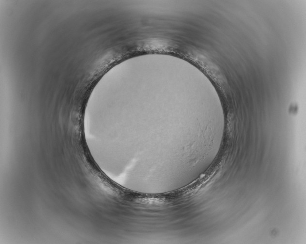 X0000093610449200711121216