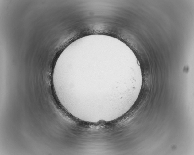 X0000093610450200711121216