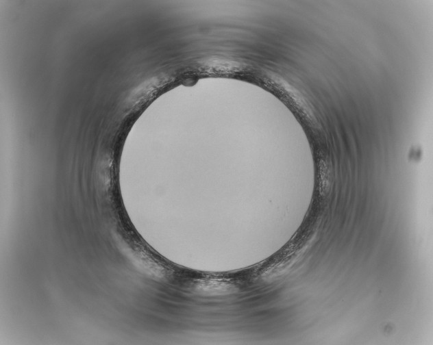 X0000093610451200711121216