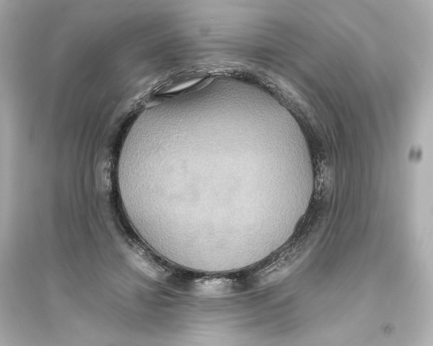 X0000093610452200711121216