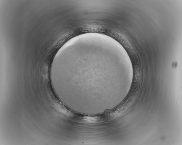 X0000093610457200711121216