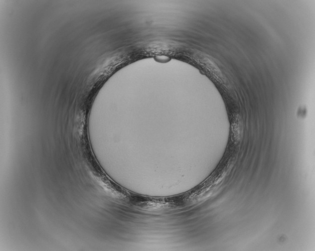 X0000093610458200711121216