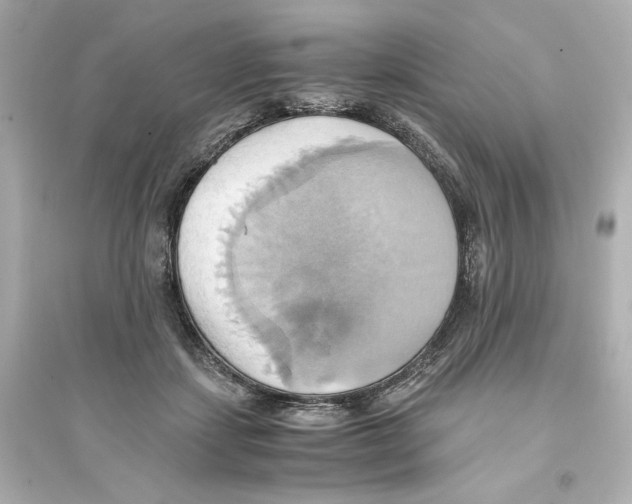 X0000093610459200711121216
