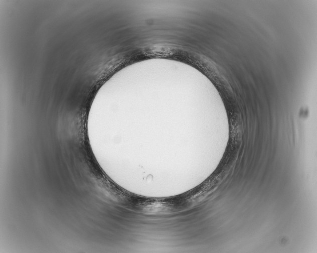 X0000093610460200711121216