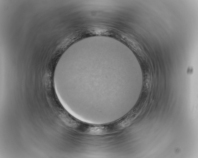 X0000093610461200711121216