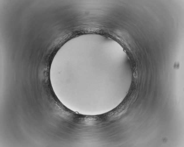 X0000093610462200711121216