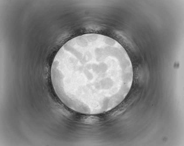 X0000093610463200711121216
