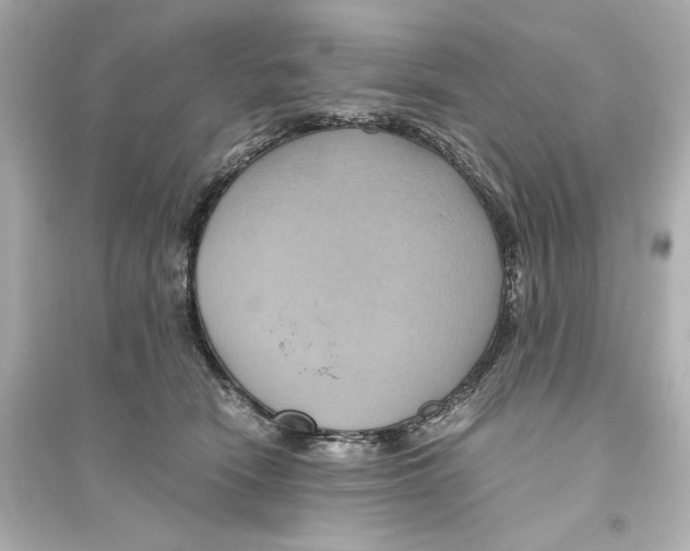X0000093610466200711121216