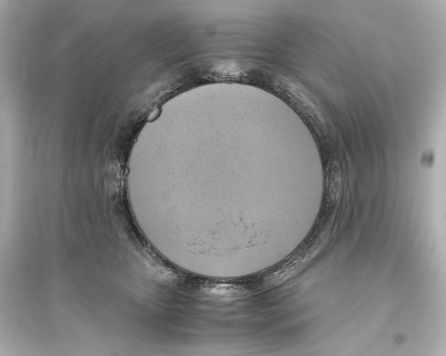 X0000093610467200711121216