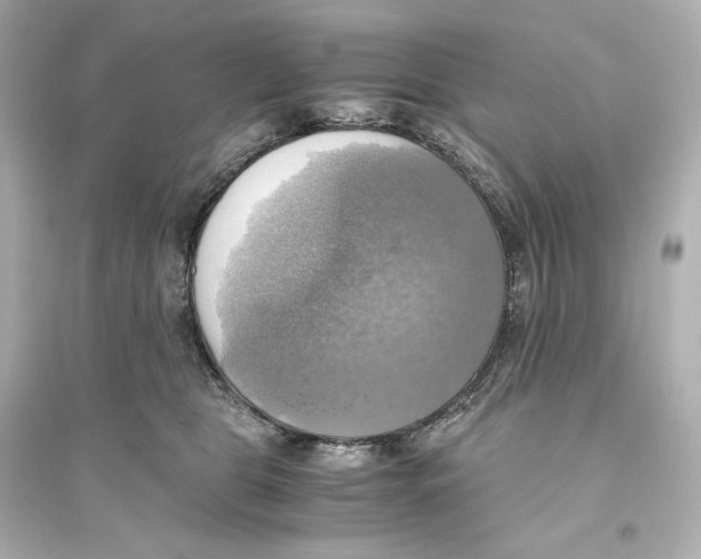 X0000093610469200711121216