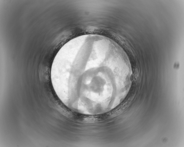 X0000093610470200711121216