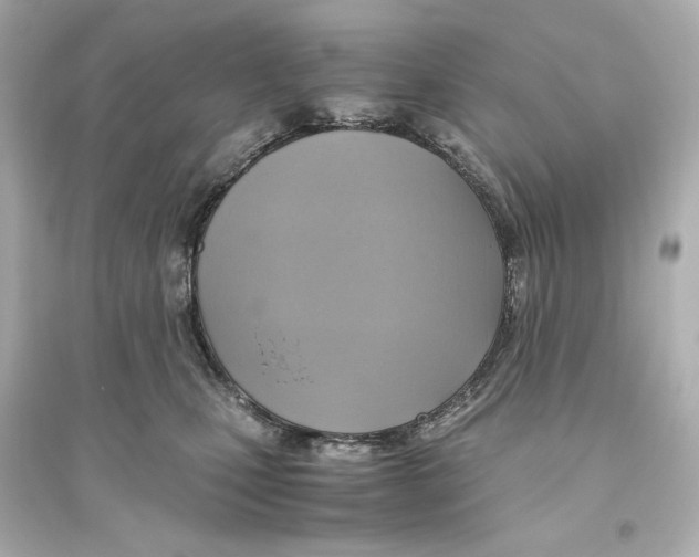 X0000093610471200711121216