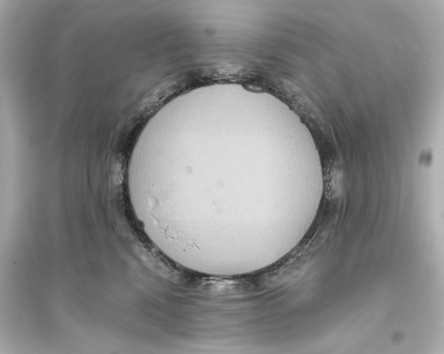 X0000093610472200711121216