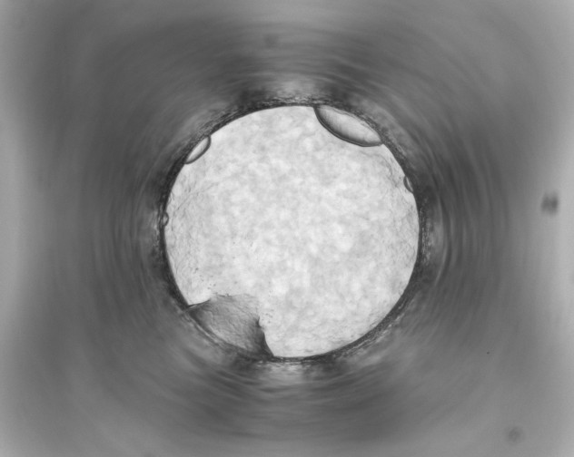 X0000093610473200711121216