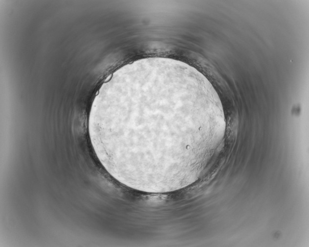 X0000093610474200711121216