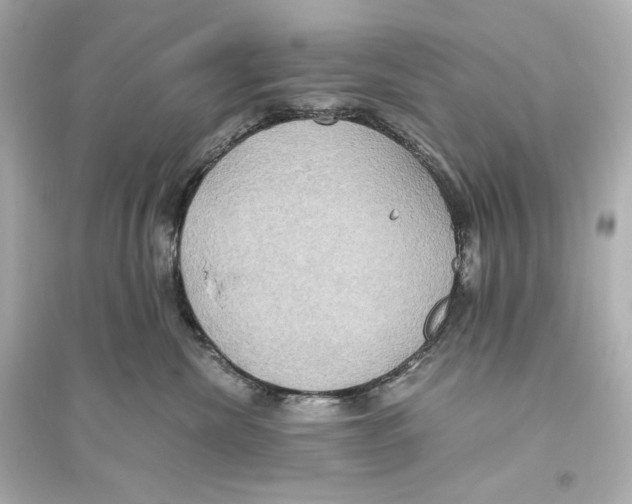 X0000093610476200711121216
